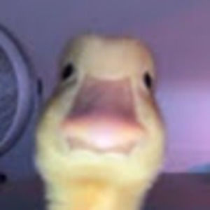 Meet your Posher, Jazmine